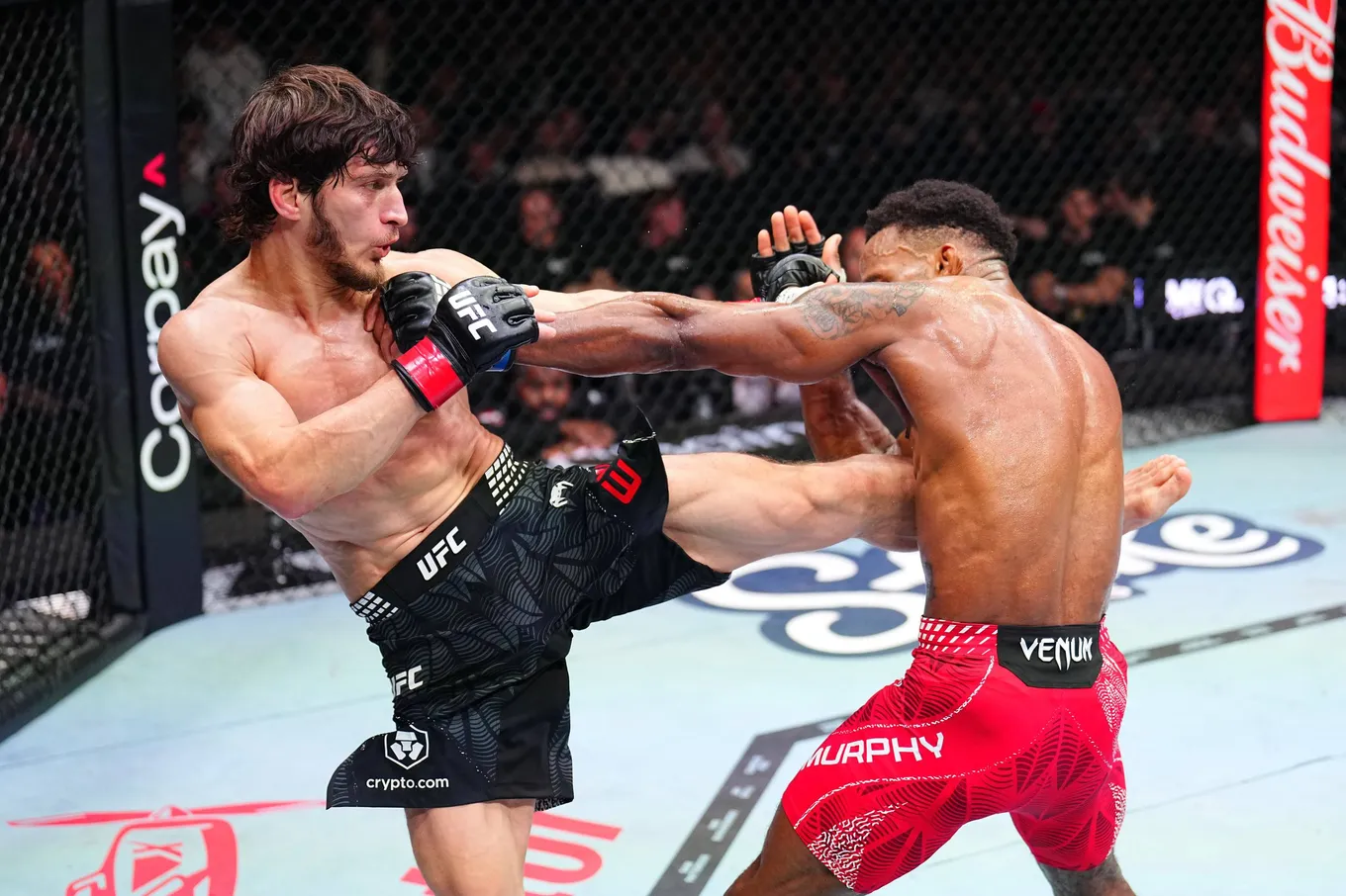 евлоев мерфи фото боя