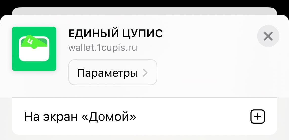 Как установить приложение ЦУПИС на айфон, iOS, App Store