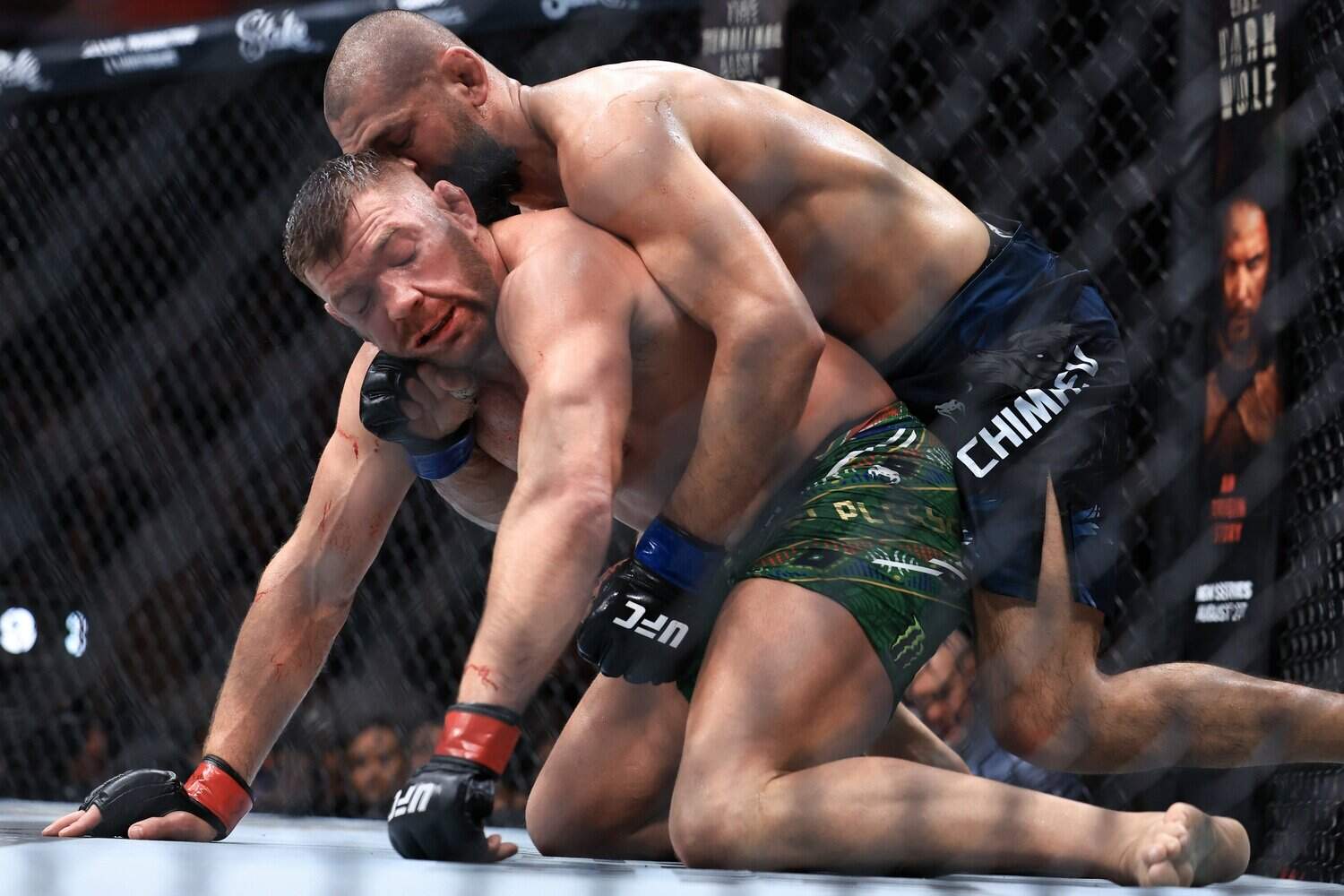 Гонорары бойцов UFC 319