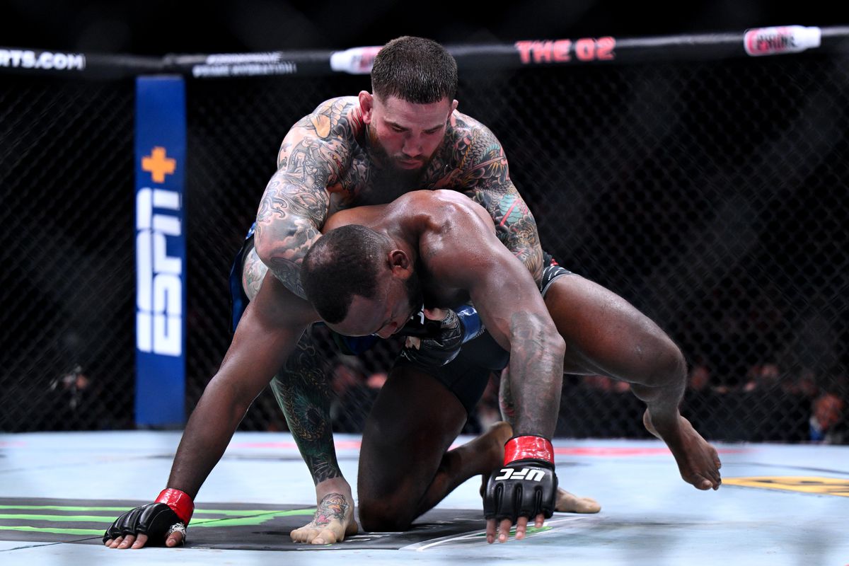 UFC Fight Night 255