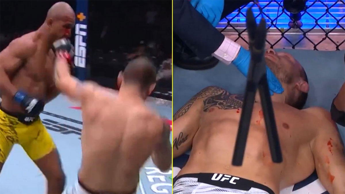 Родригес - Херманссон на UFC 317