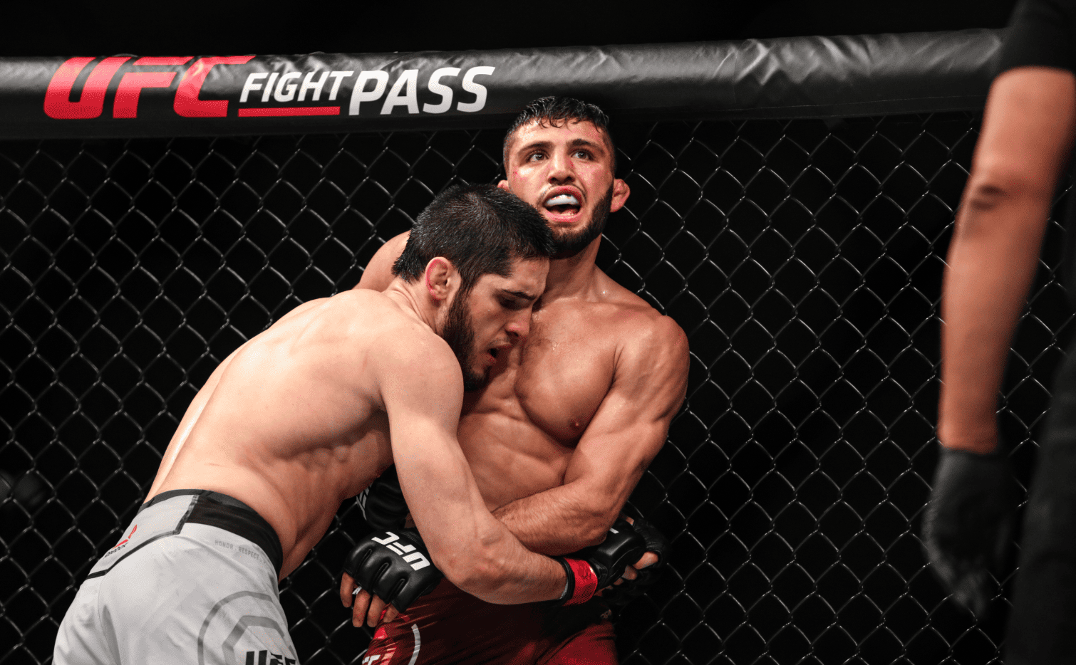 Царукян Махачев